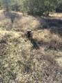 17759 Patterson Ranch Road - Photo 13