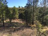 17759 Patterson Ranch Road - Photo 14