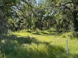 7.22ac Locust Rd - Photo 4