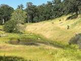 7.22ac Locust Rd - Photo 7