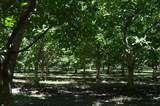 6725 Highway 99E - Photo 44