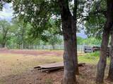 13100 Padani Drive - Photo 50