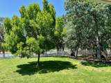 13100 Padani Drive - Photo 70