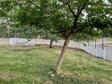 13100 Padani Drive - Photo 79