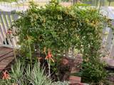 13100 Padani Drive - Photo 92