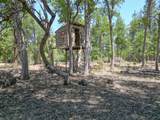 27401 Goodman Road - Photo 57