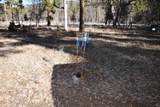 45450 Big Lake Road - Photo 47