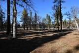 45450 Big Lake Road - Photo 54