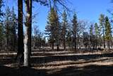 45450 Big Lake Road - Photo 55