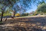 20114 Vernita Drive - Photo 45