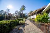 20114 Vernita Drive - Photo 46