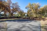 20114 Vernita Drive - Photo 73