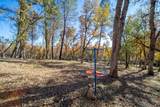 20114 Vernita Drive - Photo 78