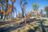 20114 Vernita Drive - Photo 81