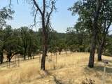 63 Little Oak Lane - Photo 7
