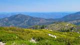 000 E. County Line Road - Photo 2