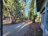 30629 Thumper Drive - Photo 23