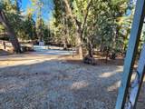 30629 Thumper Drive - Photo 24