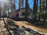 30629 Thumper Drive - Photo 25