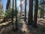 30629 Thumper Drive - Photo 26
