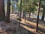 30629 Thumper Drive - Photo 28