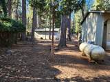 30629 Thumper Drive - Photo 32