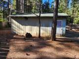30629 Thumper Drive - Photo 34
