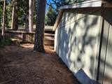 30629 Thumper Drive - Photo 35