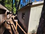 30629 Thumper Drive - Photo 36