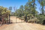  20 Acres Rolling Ridge Road - Photo 1