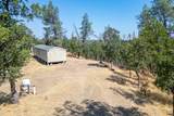  20 Acres Rolling Ridge Road - Photo 11