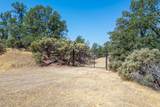  20 Acres Rolling Ridge Road - Photo 3