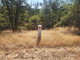  20 Acres Rolling Ridge Road - Photo 34