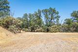  20 Acres Rolling Ridge Road - Photo 5