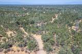  20 Acres Rolling Ridge Road - Photo 6