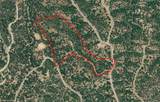  20 Acres Rolling Ridge Road - Photo 7
