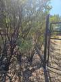 20 Acres Rolling Ridge Road - Photo 8