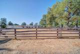 17041 Hawthorne Avenue - Photo 58