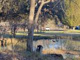 61 Chief George - Photo 3