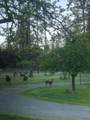 61 Chief George - Photo 6