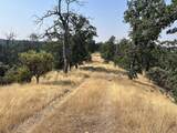 17125 Quail Ridge Road - Photo 16