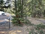  Emigrant Trail - Photo 2