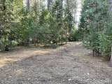  Emigrant Trail - Photo 4