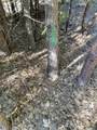  Emigrant Trail - Photo 8