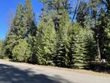  Emigrant Trail - Photo 9
