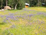 10400 Ponderosa Way - Photo 4