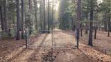 20022 Hudson Street - Photo 1
