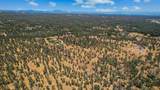Lot 9 Canto De Las Lupine Drive - Photo 15