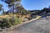 15333 Mountain Shadows Drive - Photo 4