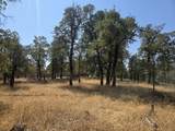  Mccandless Gulch Road - Photo 1
